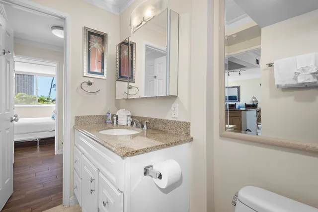 a bathroom with a granite countertop sink a toilet and a mirror