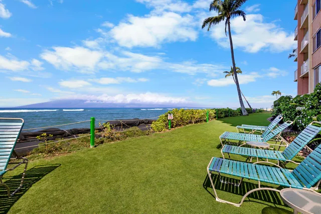a view of a swimming pool with a garden