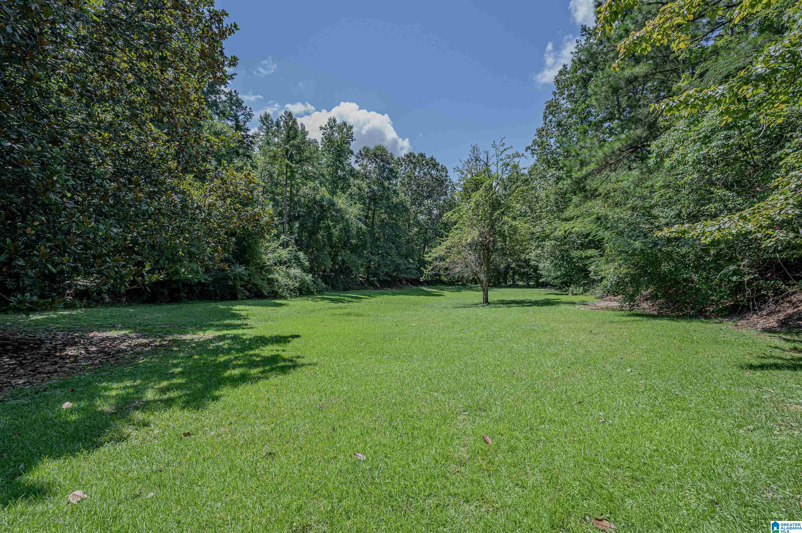 8898 Marsh Mountain Road Pinson, AL 35126 - Photo 19 of 28