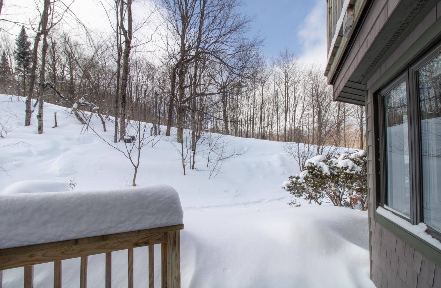 264 Slopeside Road, Unit S1002 Jay, VT 05859 - Photo 14 of 40