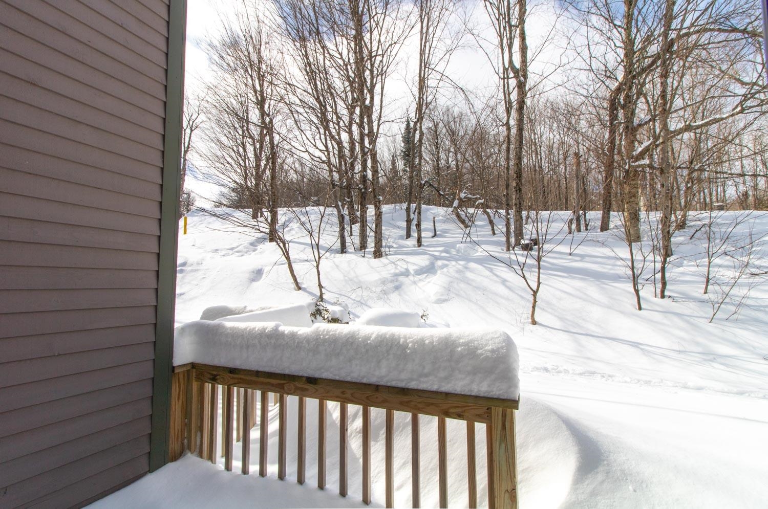264 Slopeside Road, Unit S1002 Jay, VT 05859 - Photo 15 of 40