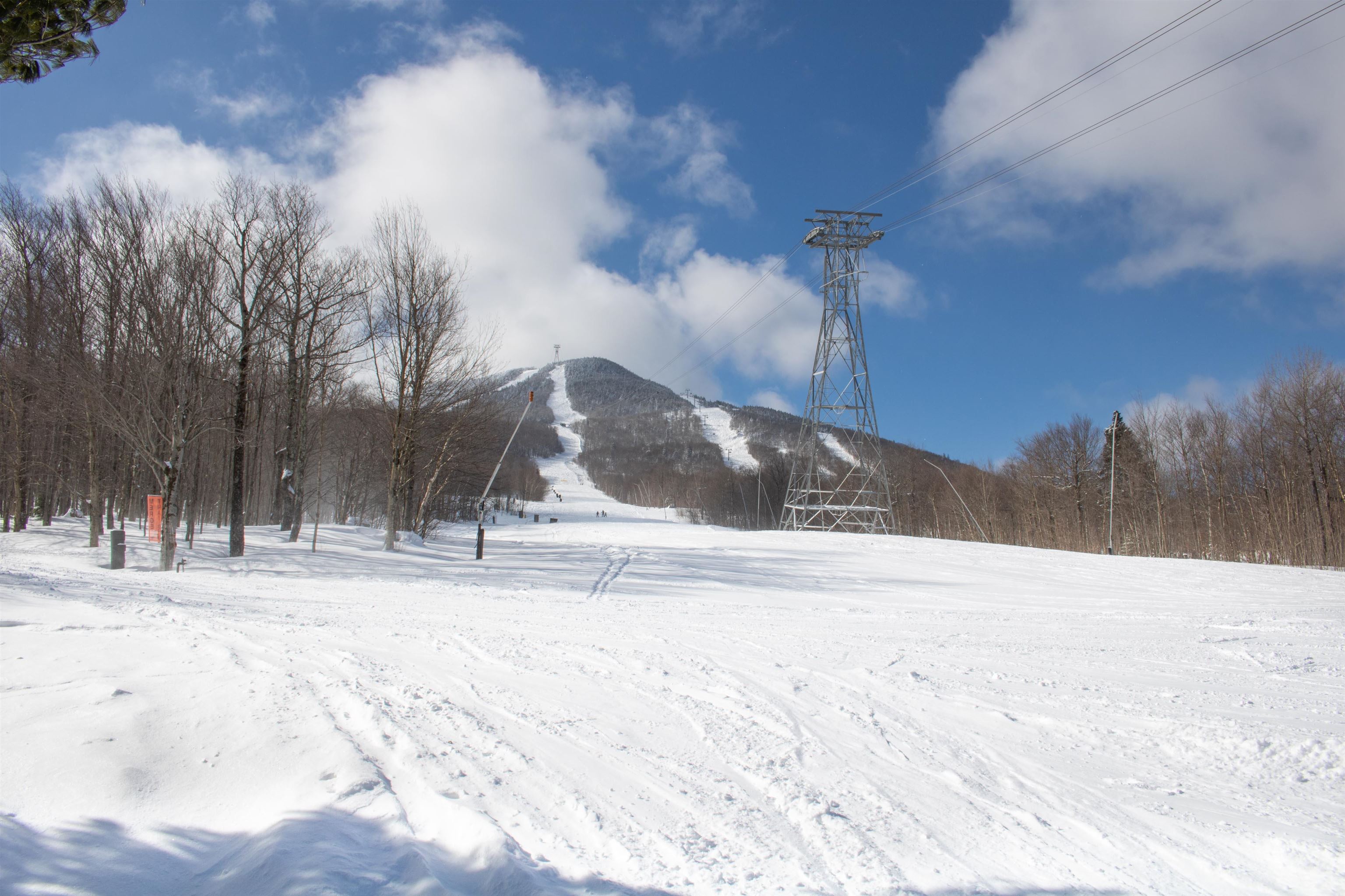 264 Slopeside Road, Unit S1002 Jay, VT 05859 - Photo 25 of 40