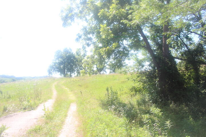 3176 South 170th Road Bolivar, MO 65613 - Photo 16 of 63 IMG_7624