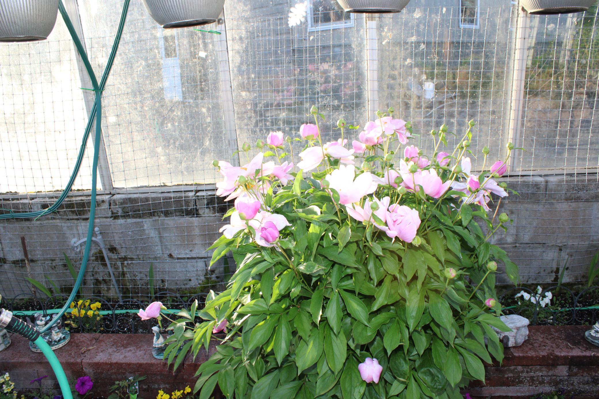 1339 Tom Lake Road Hovland, MN 55606 - Photo 108 of 112