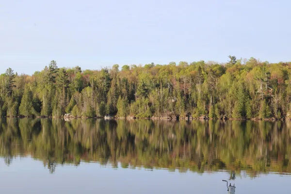 $775,000 | 1339 Tom Lake Road, Hovland, MN 55606