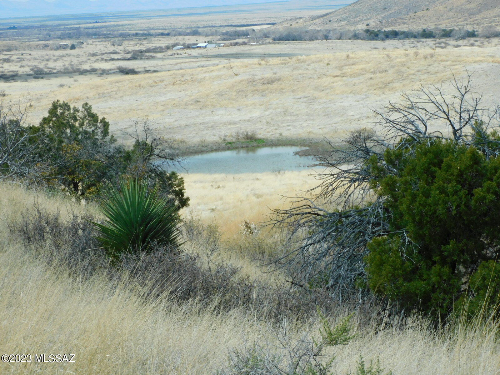 Tbd 24-ac South Pinery Canyon Road, Unit D Willcox, AZ 85643 - Photo 18 of 24