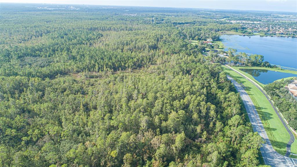 7545 Ficquette Road Windermere, FL 34786 - Photo 20 of 23 a view of a green field with lots of bushes