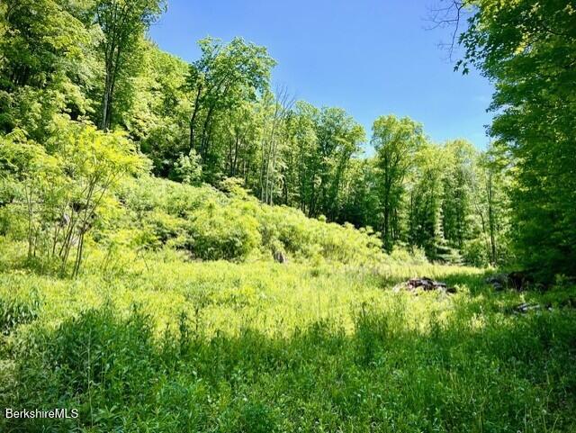 29 Pixley Hill Road West Stockbridge, MA 01236 - Photo 1 of 3 PHOTO 3