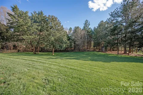 a view of a park with large trees