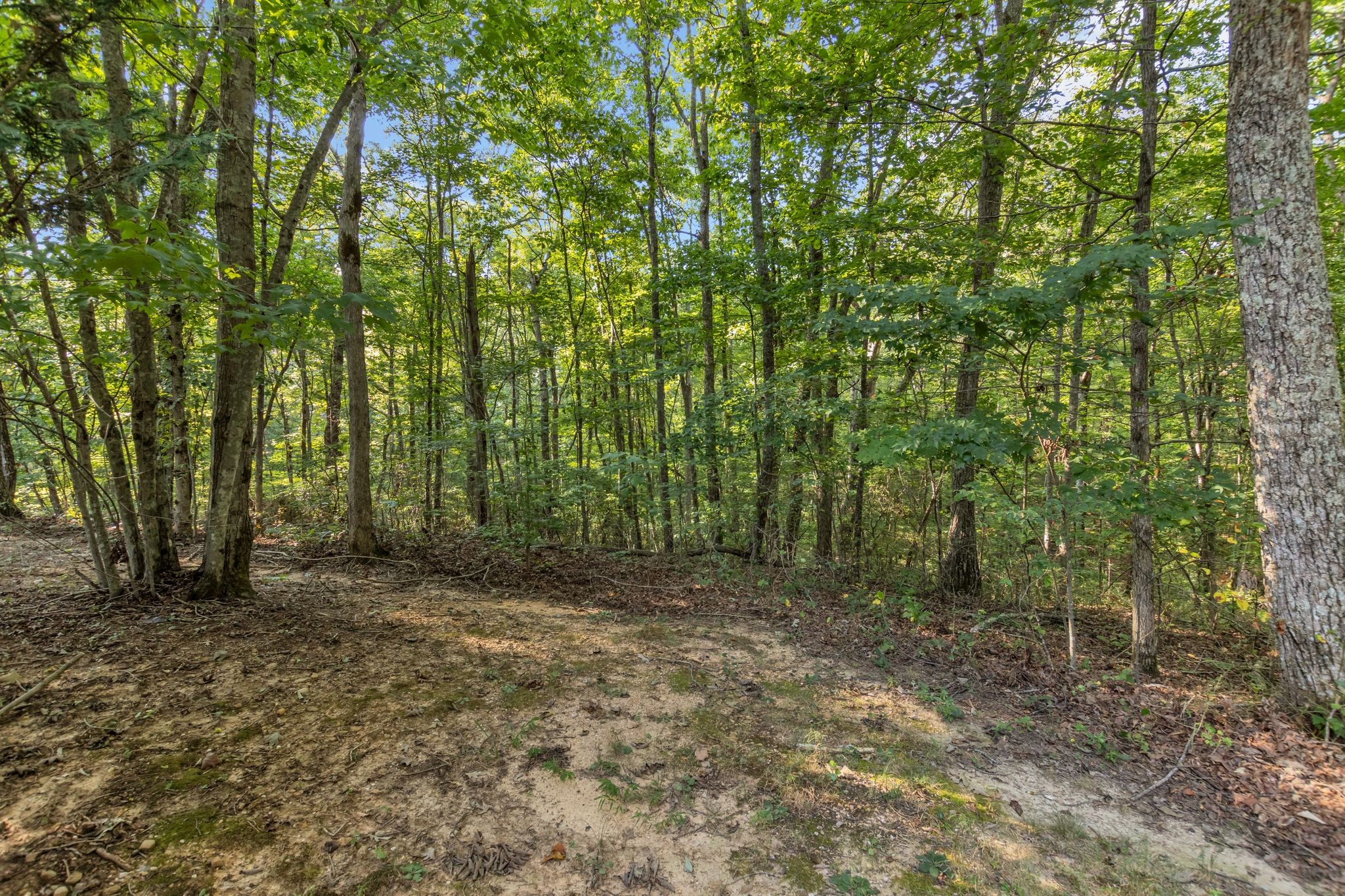 3200 Partin Farm Road Tracy City, TN 37387 - Photo 4 of 39 Gallery Image 4