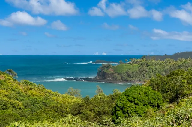 a view of a lake with a city