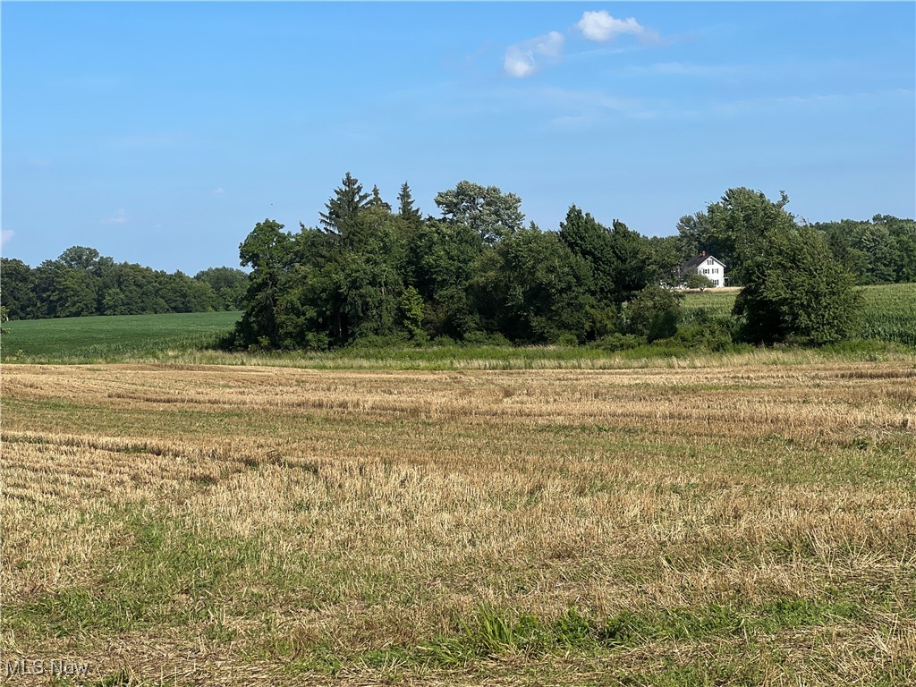 Lot A Cook Road Wakeman, OH 44889 - Photo 3 of 3