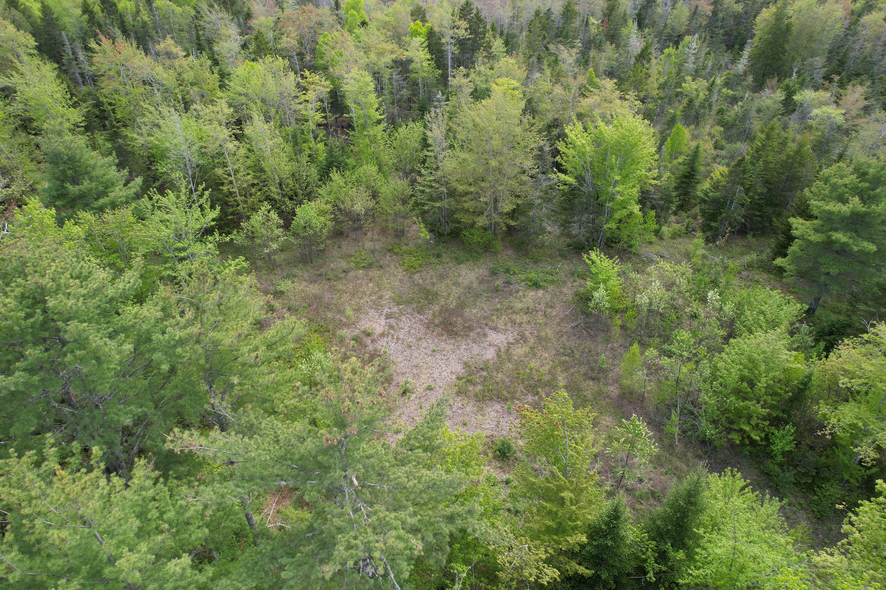 Map5-lot6 Youngs Cove Road Pembroke, ME 04666 - Photo 19 of 30 DJI_0552