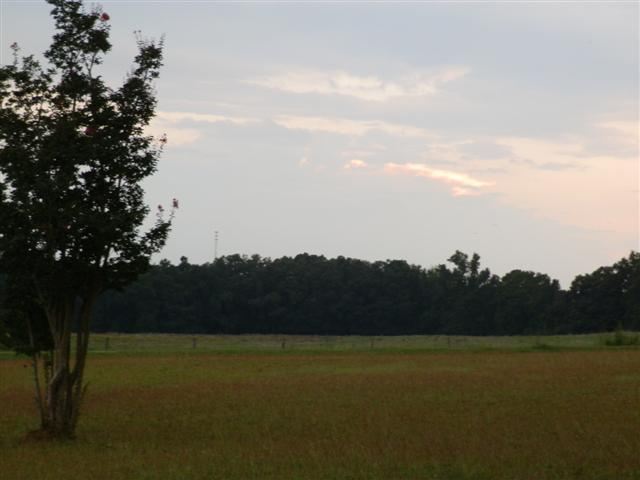 1231 Luke Bouknight Road, Unit 100 USDA FINANCING AVAIL Starr, SC 29684 - Photo 22 of 22
