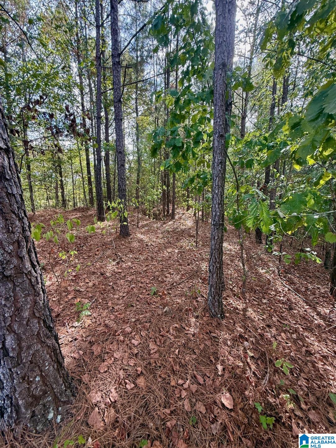 325 Deer Ridge Lane, Unit 29 Chelsea, AL 35043 - Photo 9 of 17