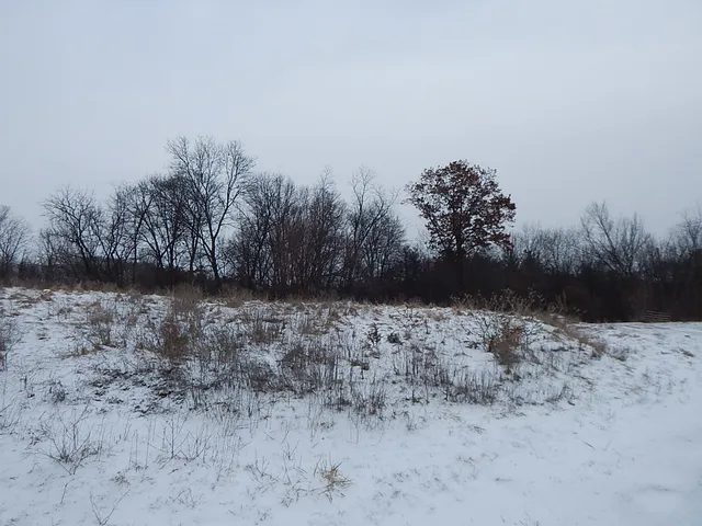 $84,900 | 12530 Messmer Road, Savanna, IL 61074