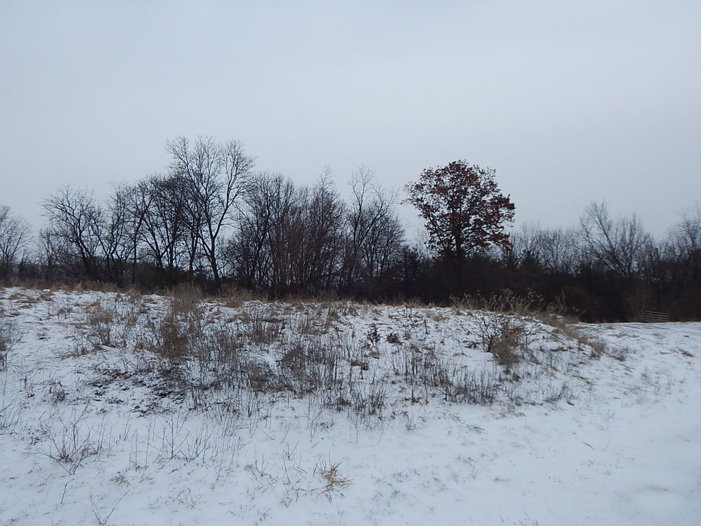 12530 Messmer Road Savanna, IL 61074 - Photo 4 of 16