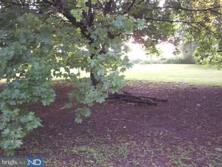 1443 Chestnut Grove Road Pottstown, PA 19464 - Photo 6 of 6 Gallery Image 6