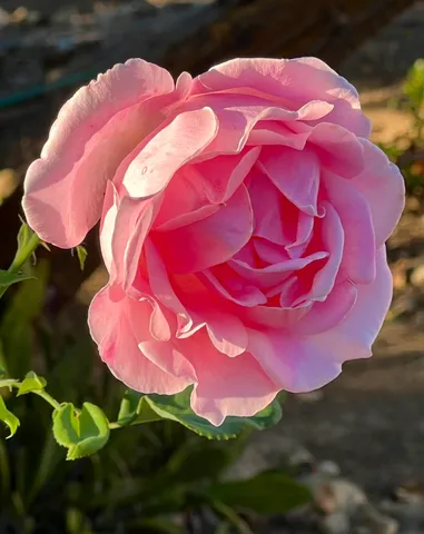 $3,395,000 | 3919 Antone Road, Santa Barbara, CA 93110