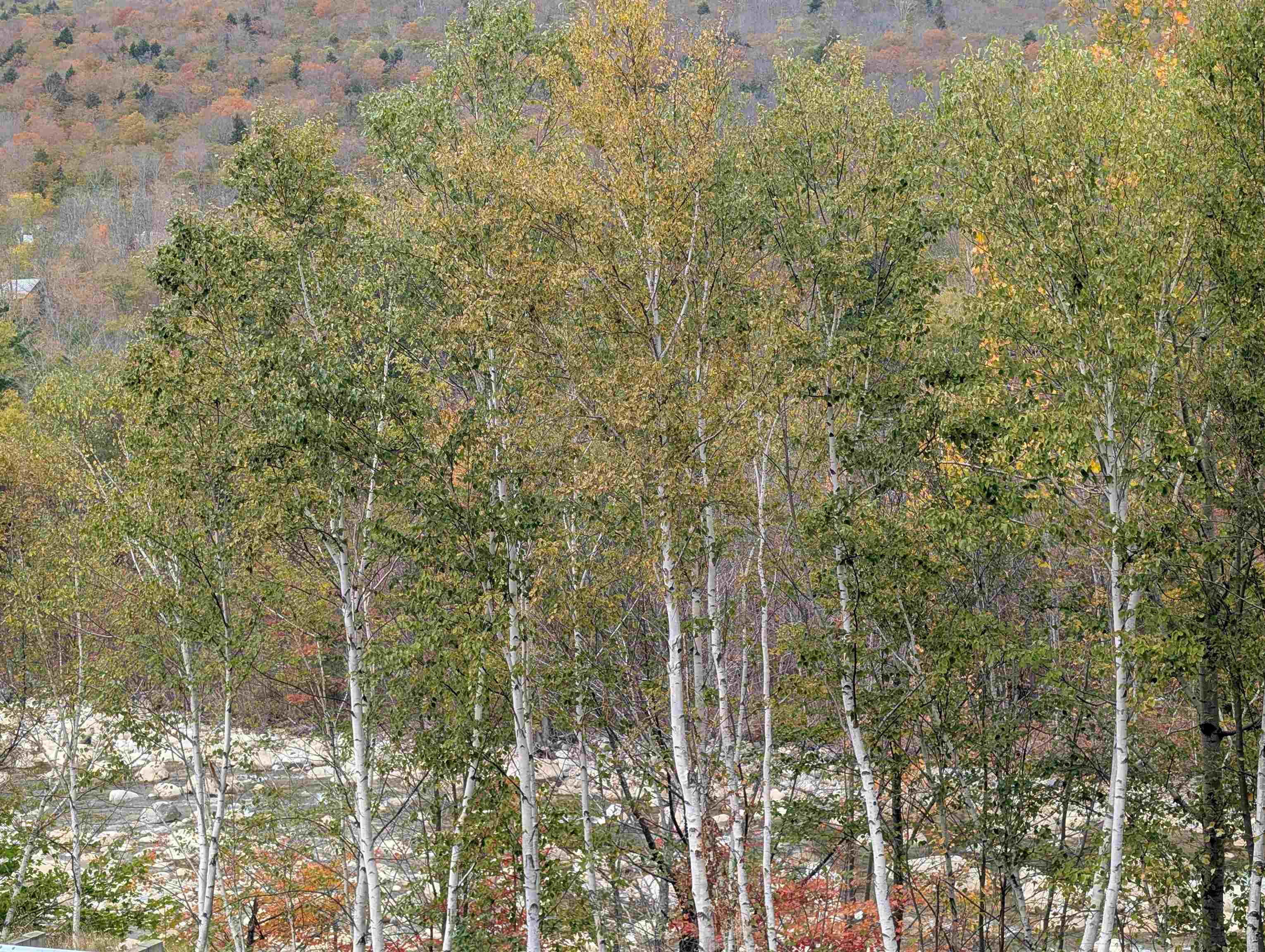 90 Loon Mountain Road, Unit 857D Lincoln, NH 03251 - Photo 23 of 46