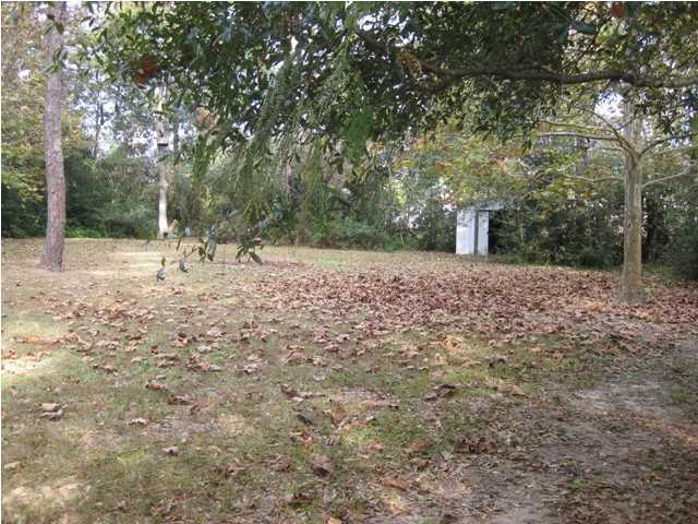3075 Auburn Road Crestview, FL 32539 - Photo 14 of 15 a view of a yard with large trees