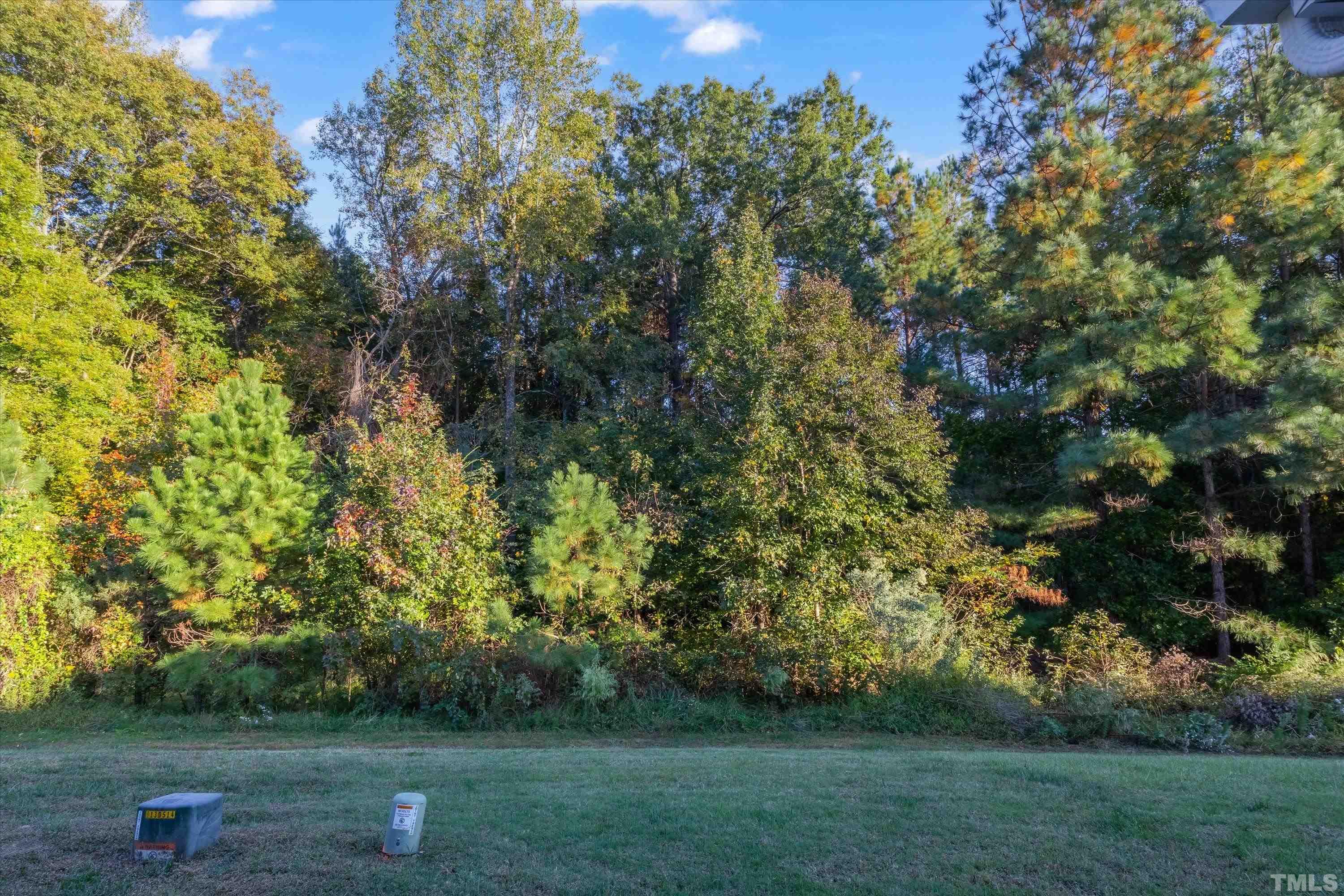 7846 Averette Field Drive Raleigh, NC 27616 - Photo 21 of 21 a view of a green field with trees