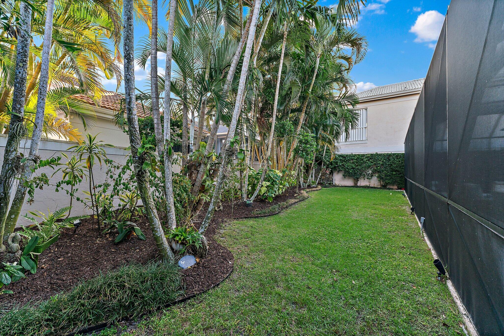 3230 West Channel Circle Jupiter, FL 33477 - Photo 46 of 67 a view of a yard with plants and a large tree