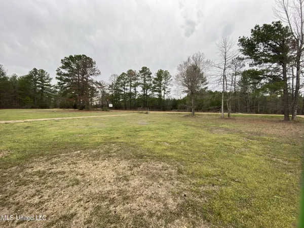 $265,000 | 589 Simpson Highway 28 West, Pinola, MS 39149