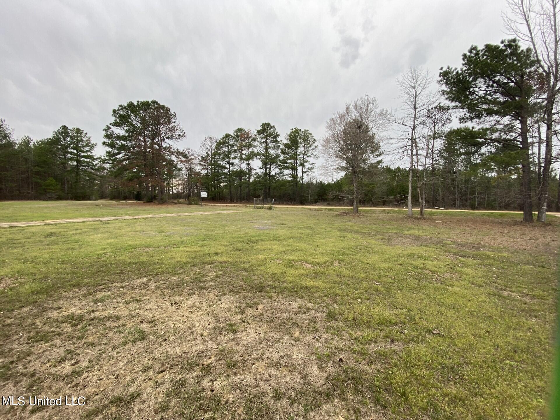 589 Simpson Highway 28 West Pinola, MS 39149 - Photo 11 of 11 thumbnail_IMG_3363