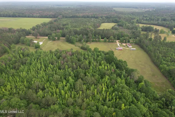 $265,000 | 589 Simpson Highway 28 West, Pinola, MS 39149