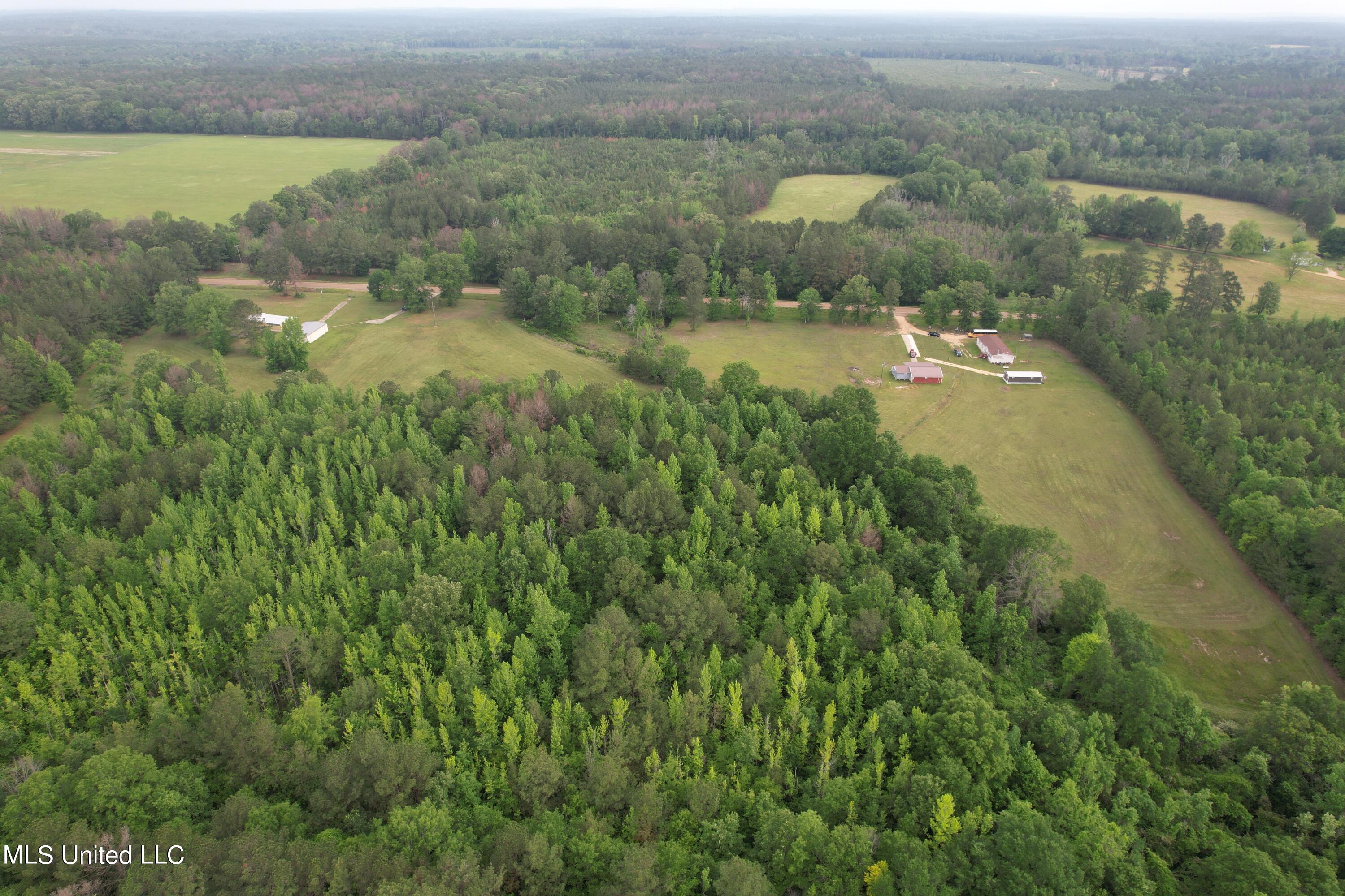 589 Simpson Highway 28 West Pinola, MS 39149 - Photo 4 of 11 dji_fly_20240502_065412_351_171465121116
