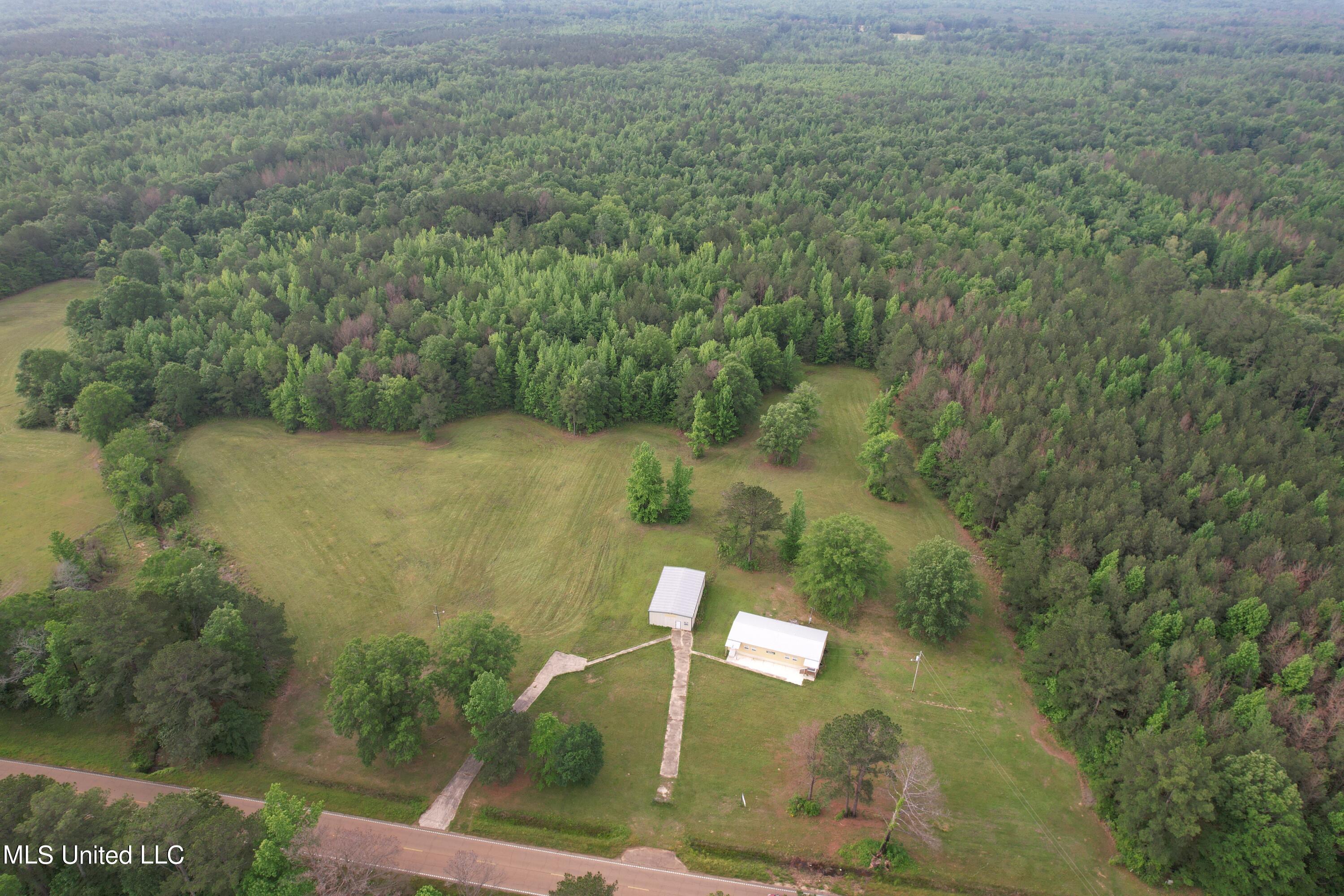 589 Simpson Highway 28 West Pinola, MS 39149 - Photo 5 of 11 dji_fly_20240502_065558_356_171465120198