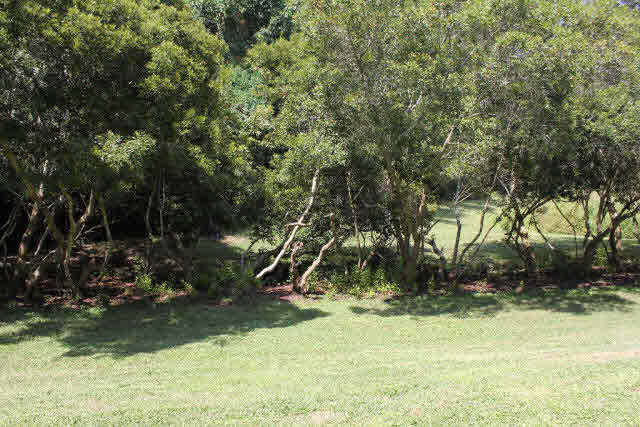 430 West Fort Morgan Road, Unit 702 Gulf Shores, AL 36542 - Photo 22 of 24 Backyard