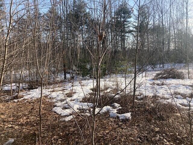 0 Buffum Road North Berwick, ME 03906 - Photo 10 of 10 Pic 5 Buffum