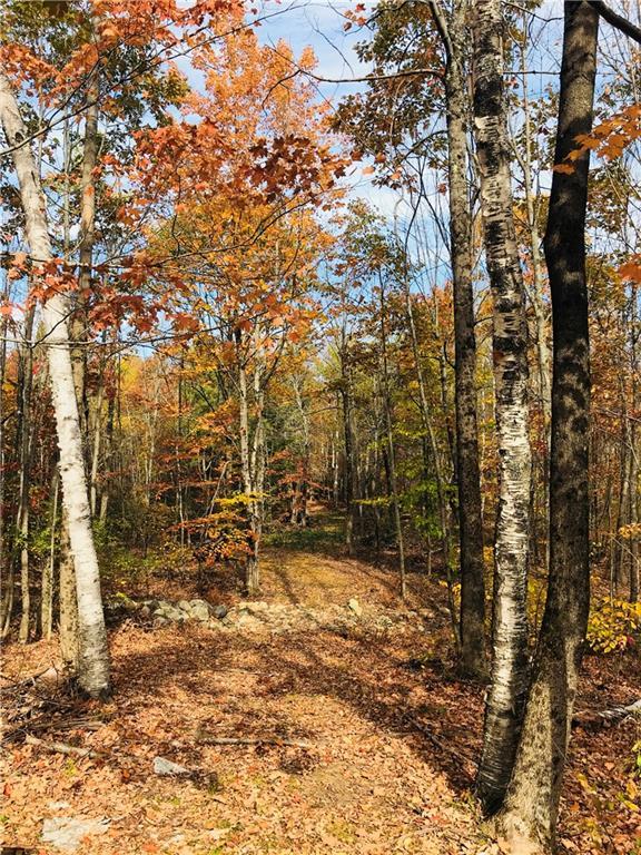 0 Frye Mountain Road Knox, ME 04986 - Photo 3 of 4 Photo