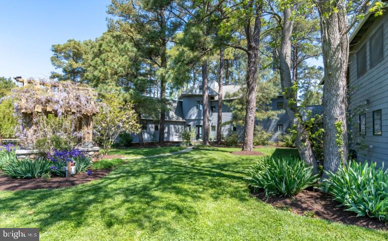 608 Hills Point Road Cambridge, MD 21613 - Photo 4 of 106 Gallery Image 4