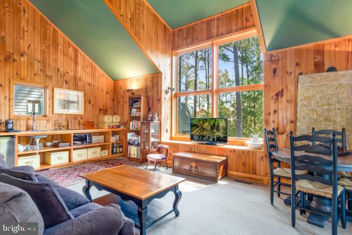 608 Hills Point Road Cambridge, MD 21613 - Photo 88 of 106 Gallery Image 88