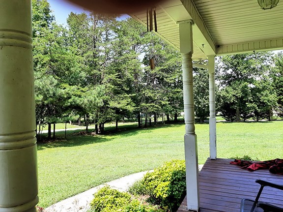 175 Bivens Road Tellico Plains, TN 37385 - Photo 4 of 17 Gallery Image 4