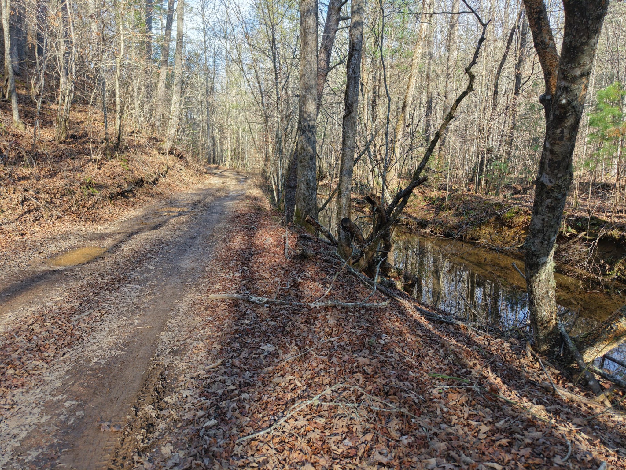 0 Bakers Creek Road Old Fort, TN 37362 - Photo 2 of 15