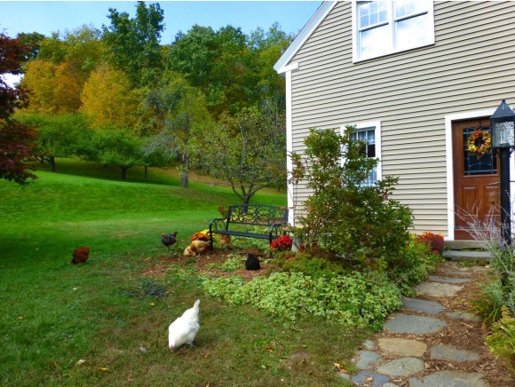 1210 Sunset Lake Road Brattleboro, VT 05301 - Photo 3 of 36