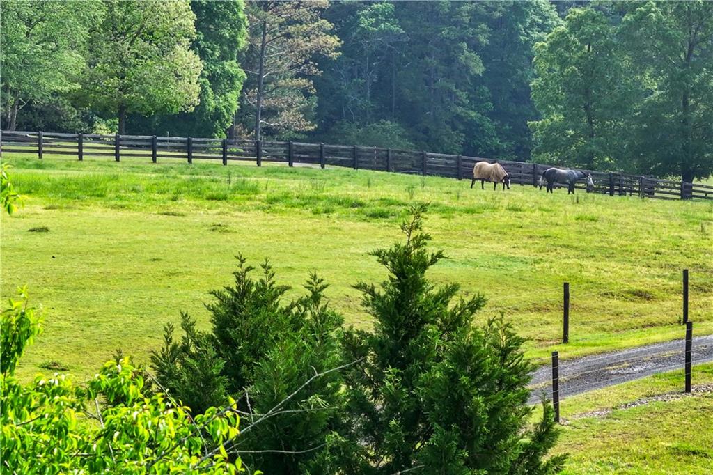65 Maude White Road Kingston, GA 30145 - Photo 93 of 108
