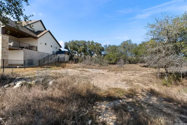 a view of a yard with a tree