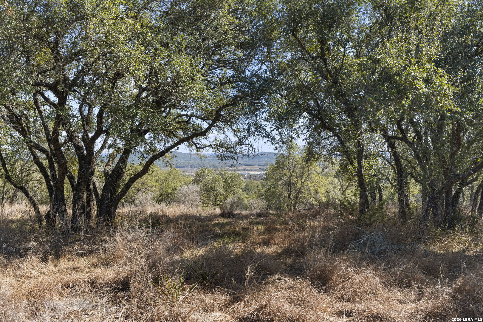 31045 Johnson Way Bulverde, TX 78163 - Photo 12 of 19 a view of a yard with a tree