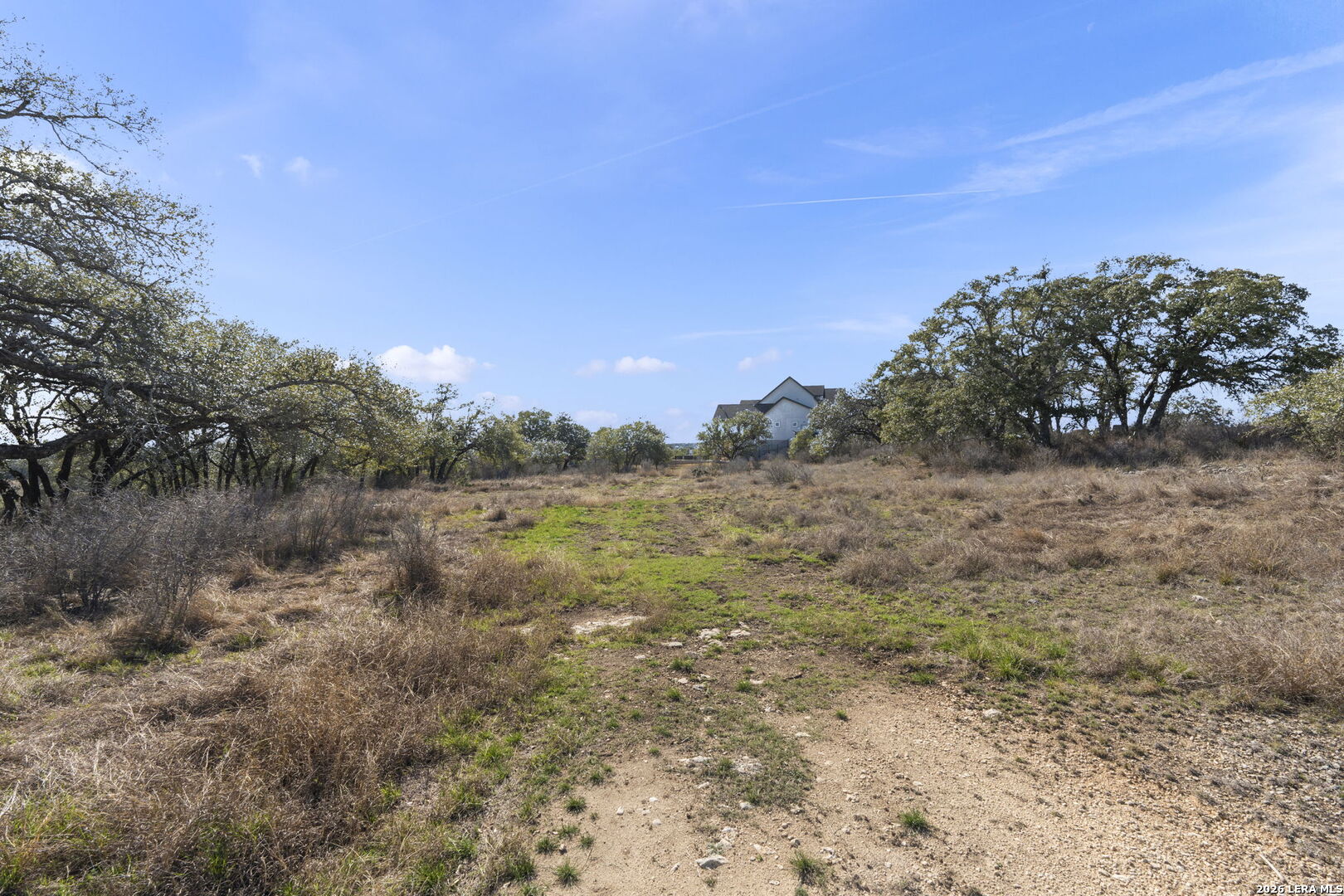 31045 Johnson Way Bulverde, TX 78163 - Photo 14 of 19 a view of a field with trees in the background