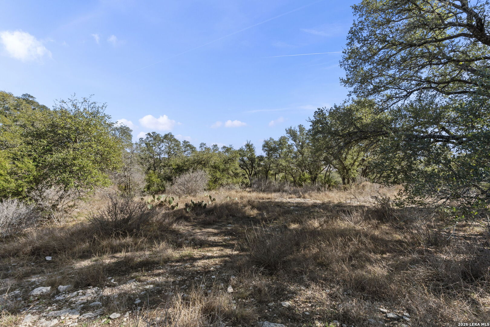 31045 Johnson Way Bulverde, TX 78163 - Photo 10 of 19 a view of a field with trees in background
