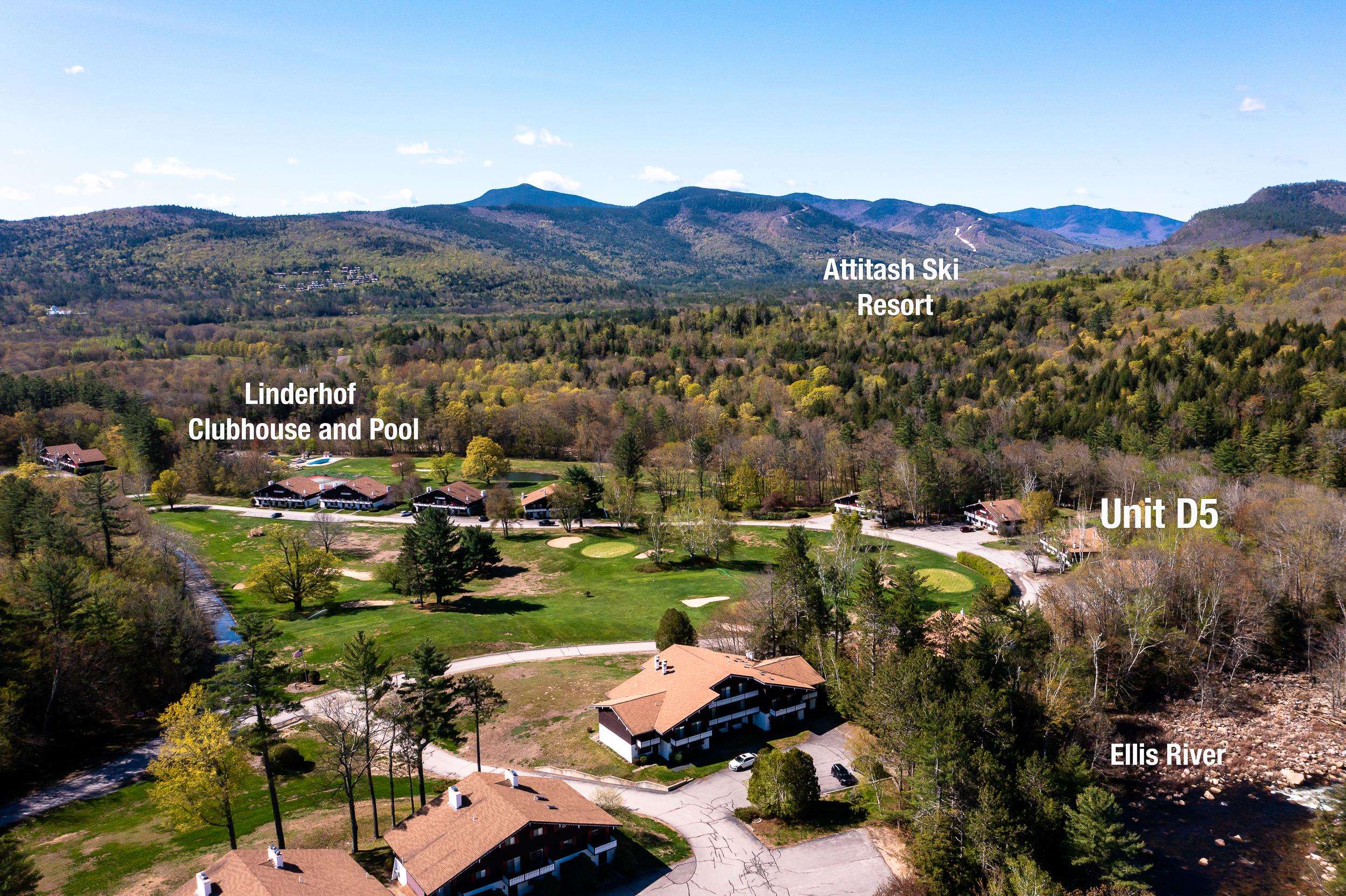 46 Linderhof Golf Course Road, Unit D5 Bartlett, NH 03838 - Photo 23 of 30