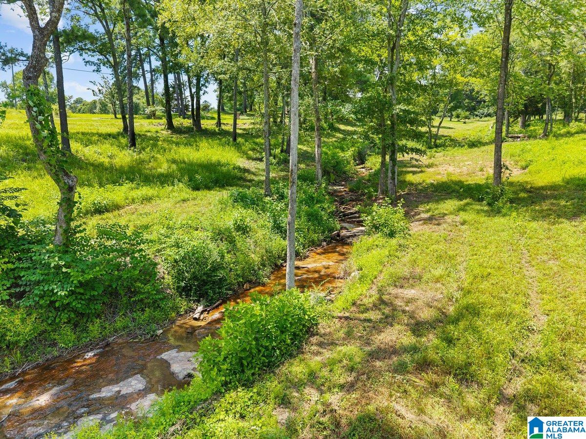 4705 County Highway 45 Hayden, AL 35079 - Photo 12 of 41