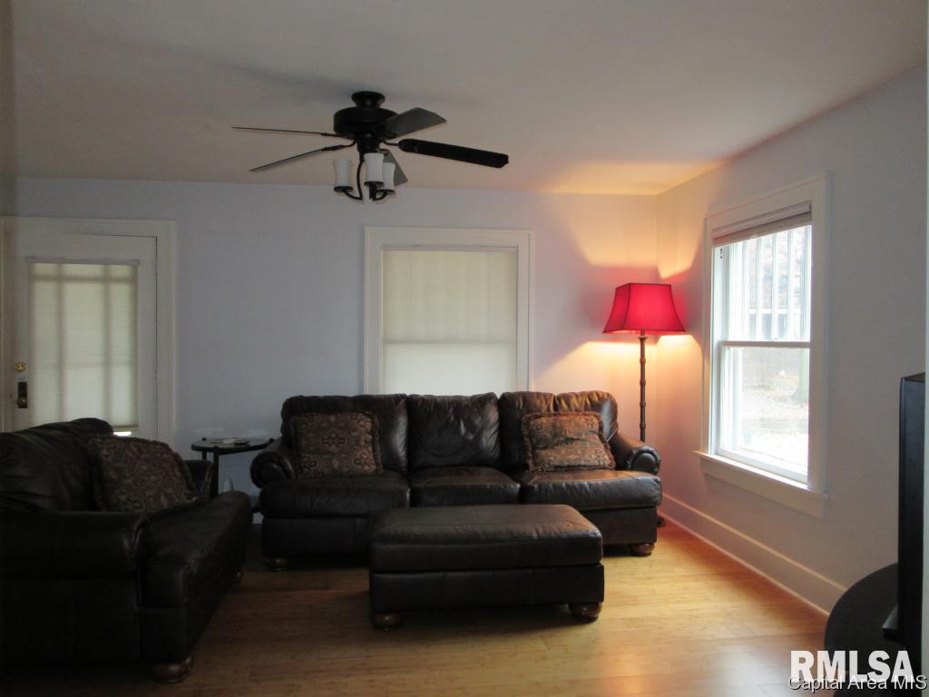 425 West Cook Street Springfield, IL 62704 - Photo 4 of 18