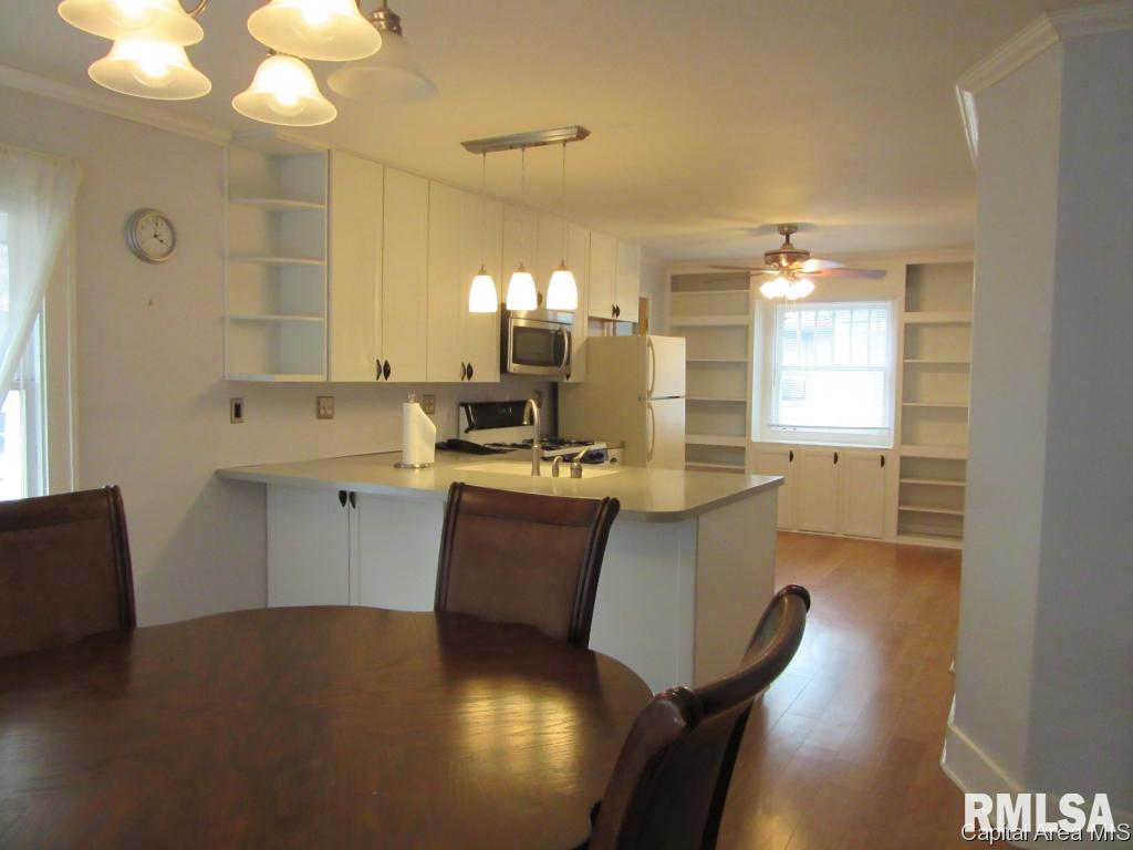 425 West Cook Street Springfield, IL 62704 - Photo 7 of 18