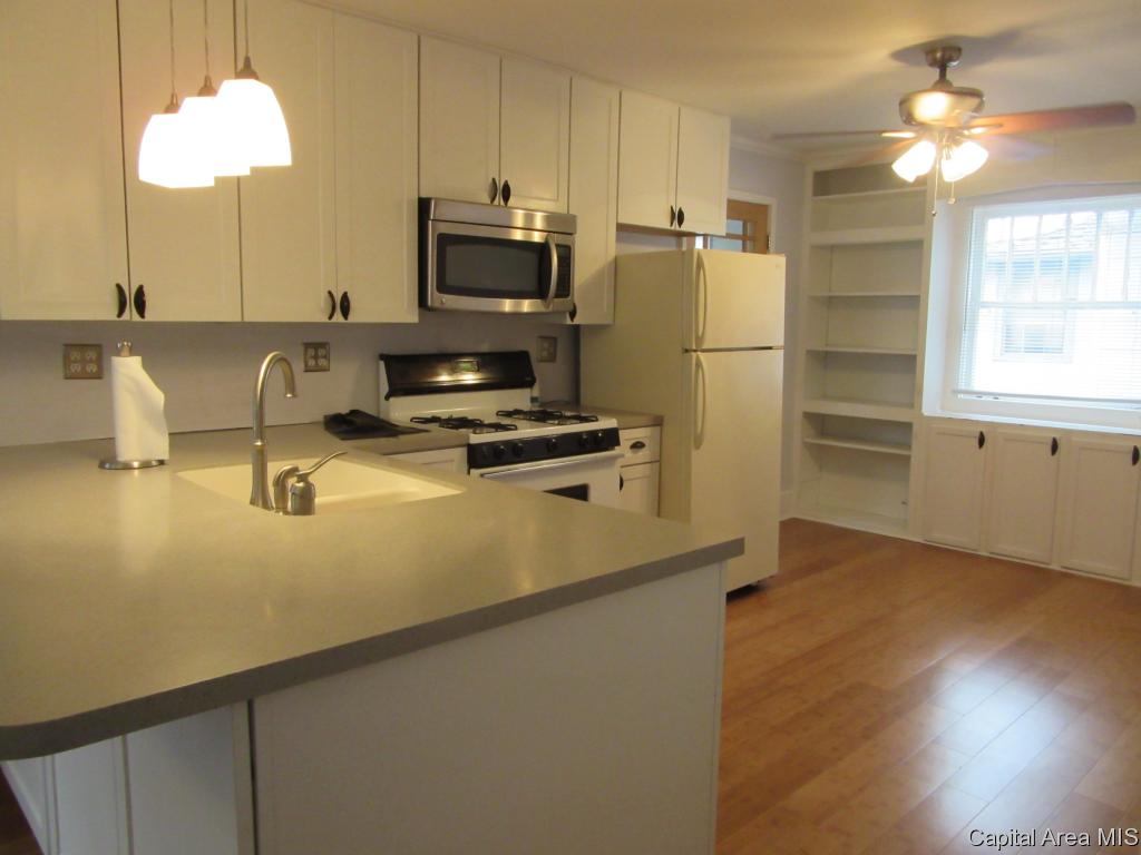 425 West Cook Street Springfield, IL 62704 - Photo 8 of 18